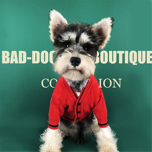 dropship dog clothes