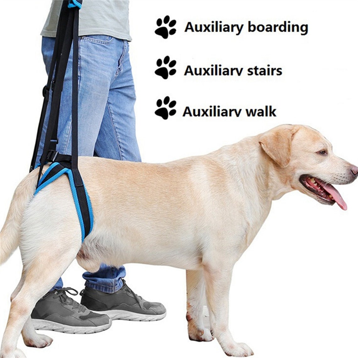 Adjustable Dog Lift Harness For Back Legs Pet Support Sling Etsy