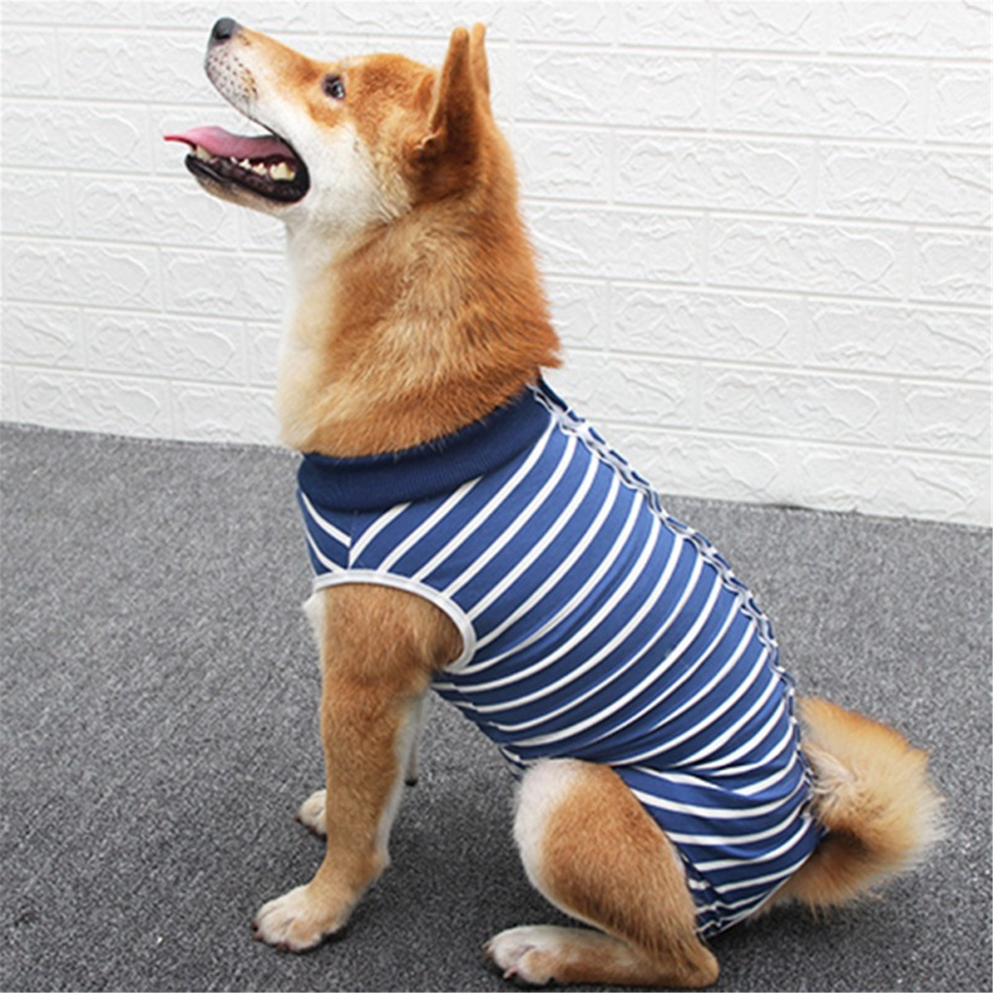 Pet Dog Clothes Suit Jumpsuit Recovery Physiological Clothes Etsy