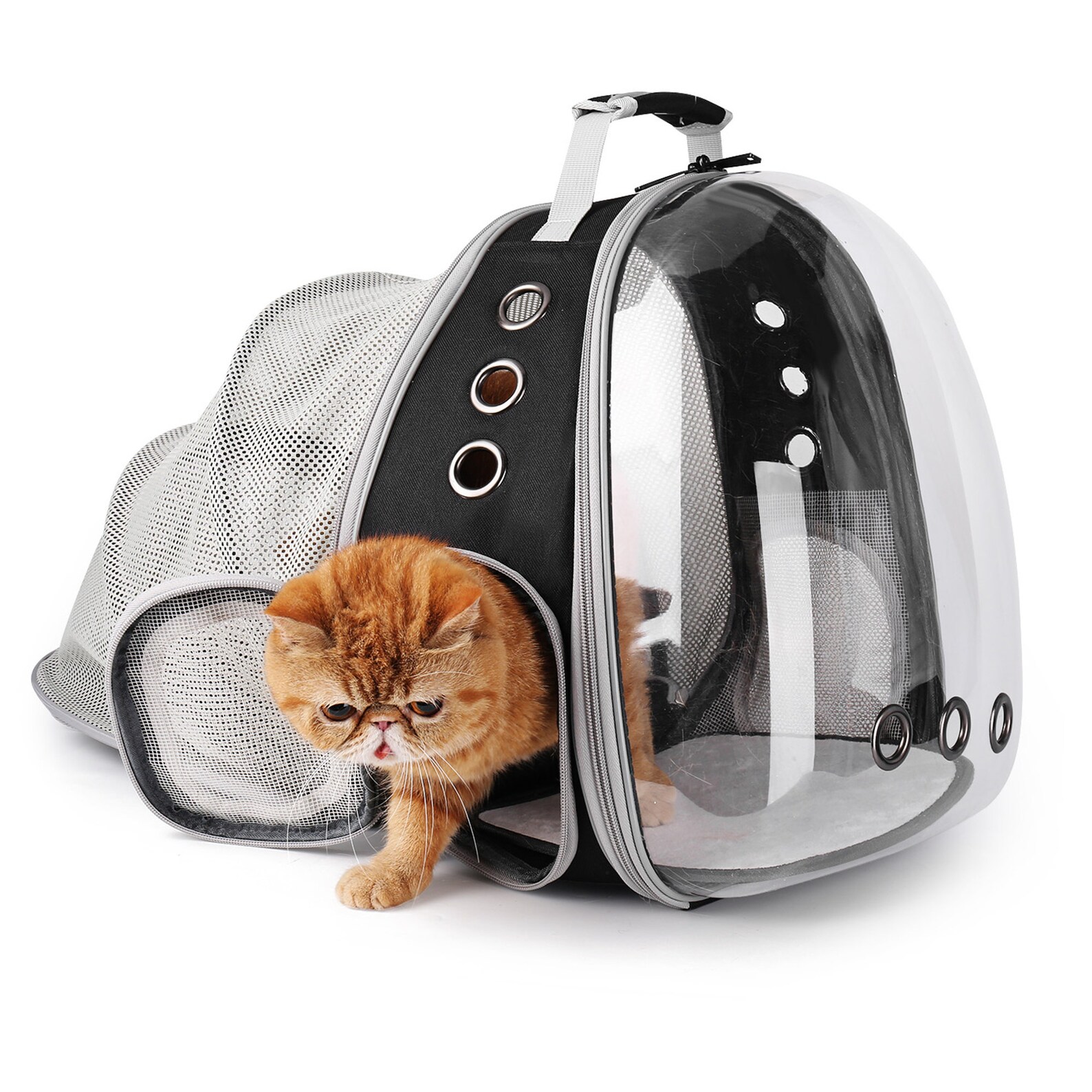 Expandable Pet Carrier Backpack Waterproof Bubble Backpack Etsy