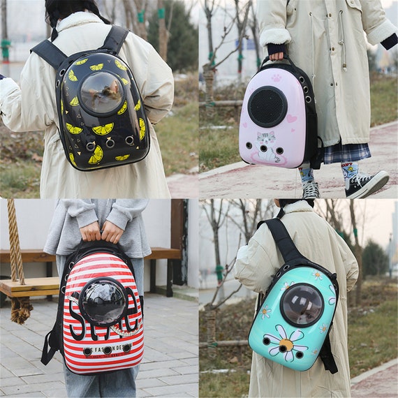 portable cat backpack