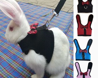 rabbit vest harness