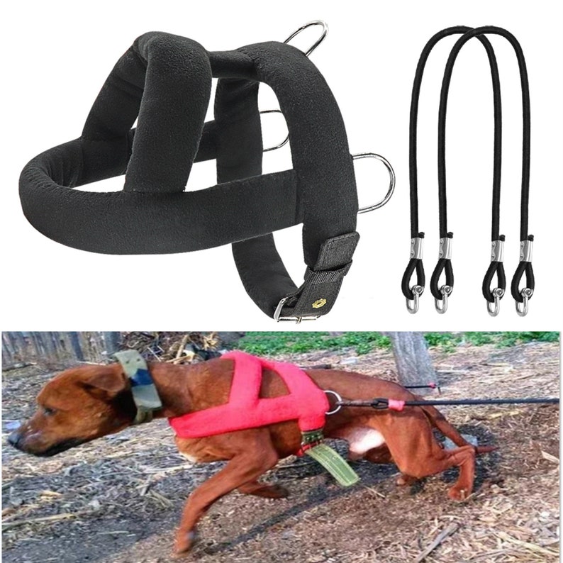 Dog Weight Pulling Harness and Leash Soft Padded Dogs Sledding Etsy