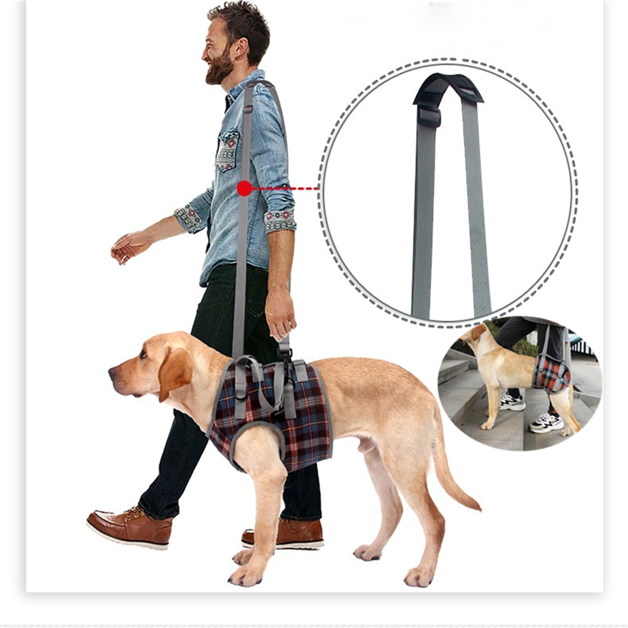 dog disability harness