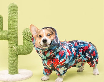 corgi dog clothes