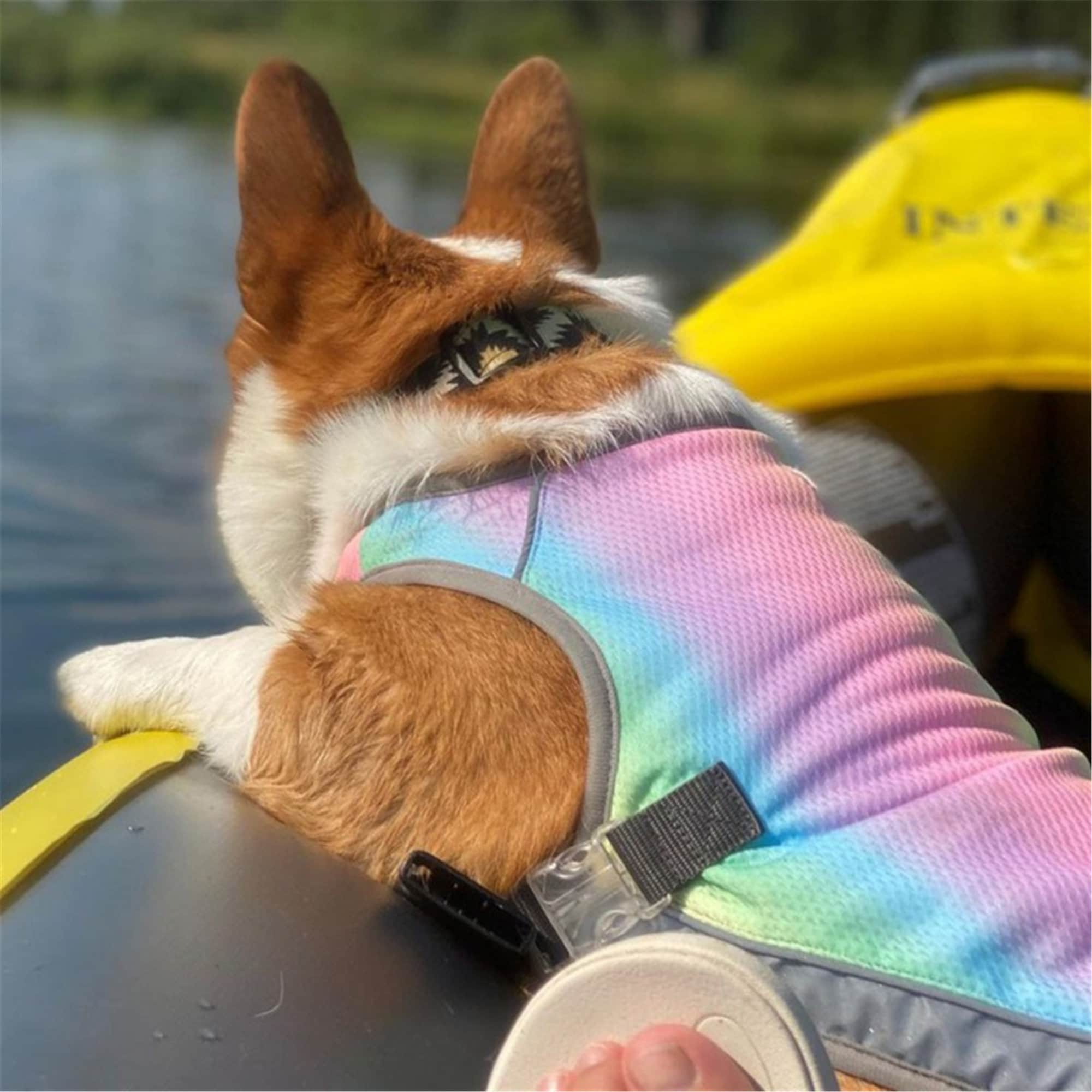 Sommer Hunde Kühlweste Kühlmantel Outdoor Sonnencreme Jacke Etsy