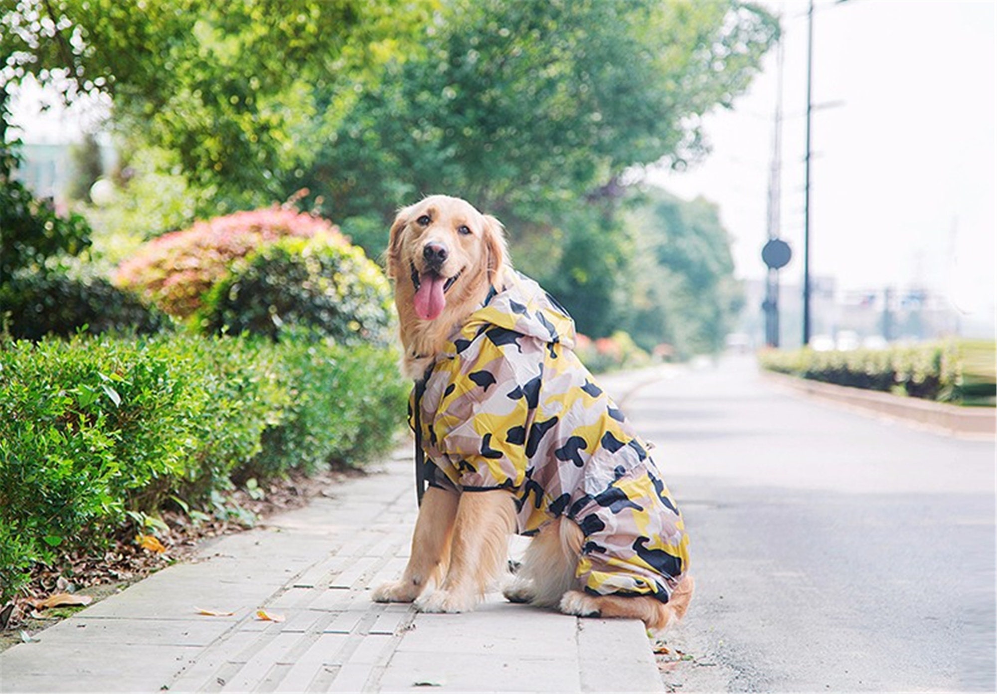 Haustier große Hund UV Sonnenschutz Schnell trocken SlimFit Etsy