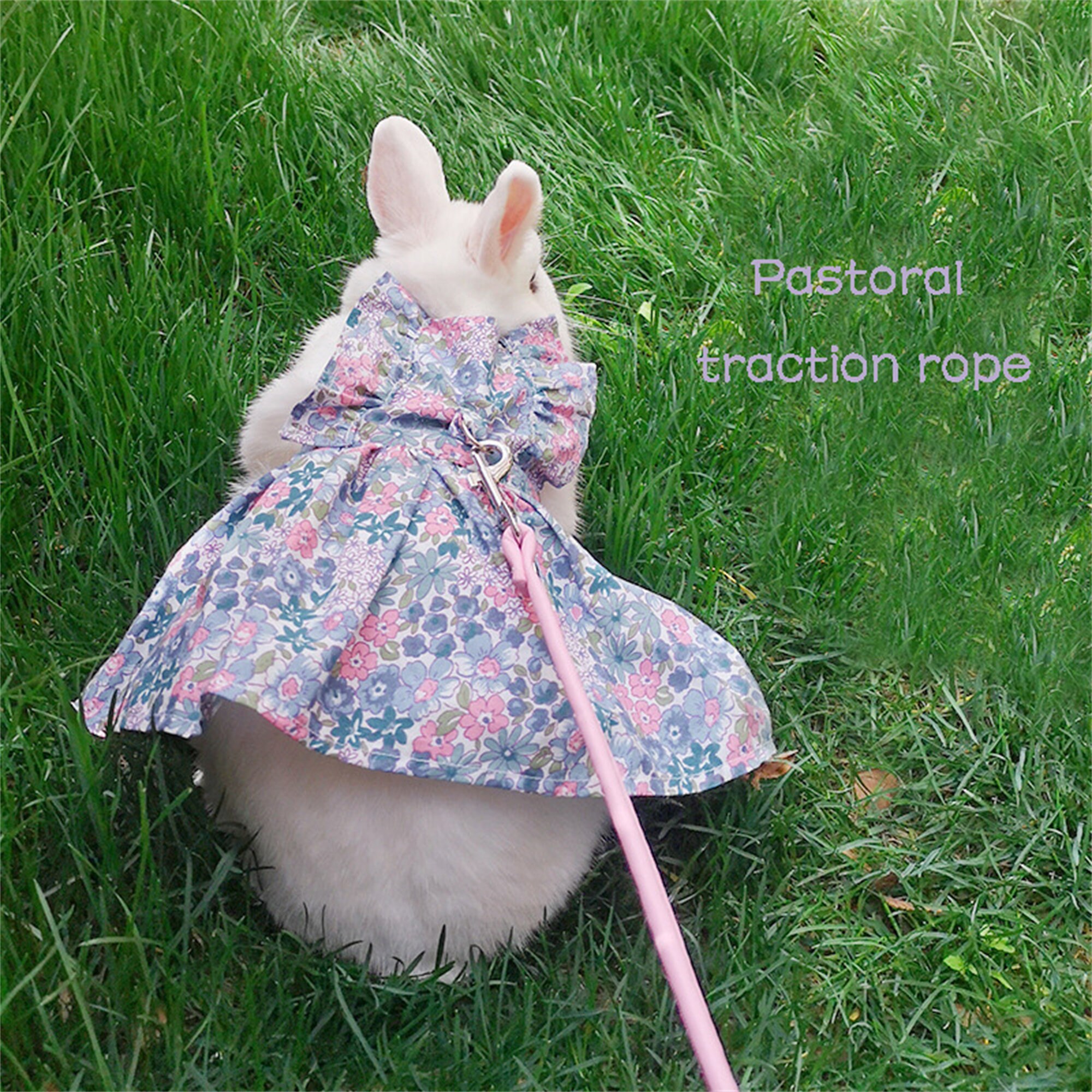 Cute Bunny Pet Vest Rabbit Clothes Dress Harness Supplies Etsy