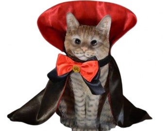 unique cat costumes