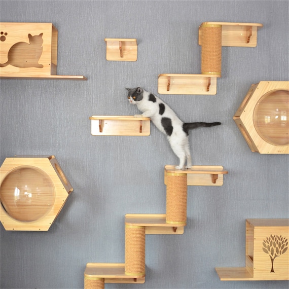 Wall Mounted Cat Climbing Frame Tree Solid Wood Hexagon Space Etsy