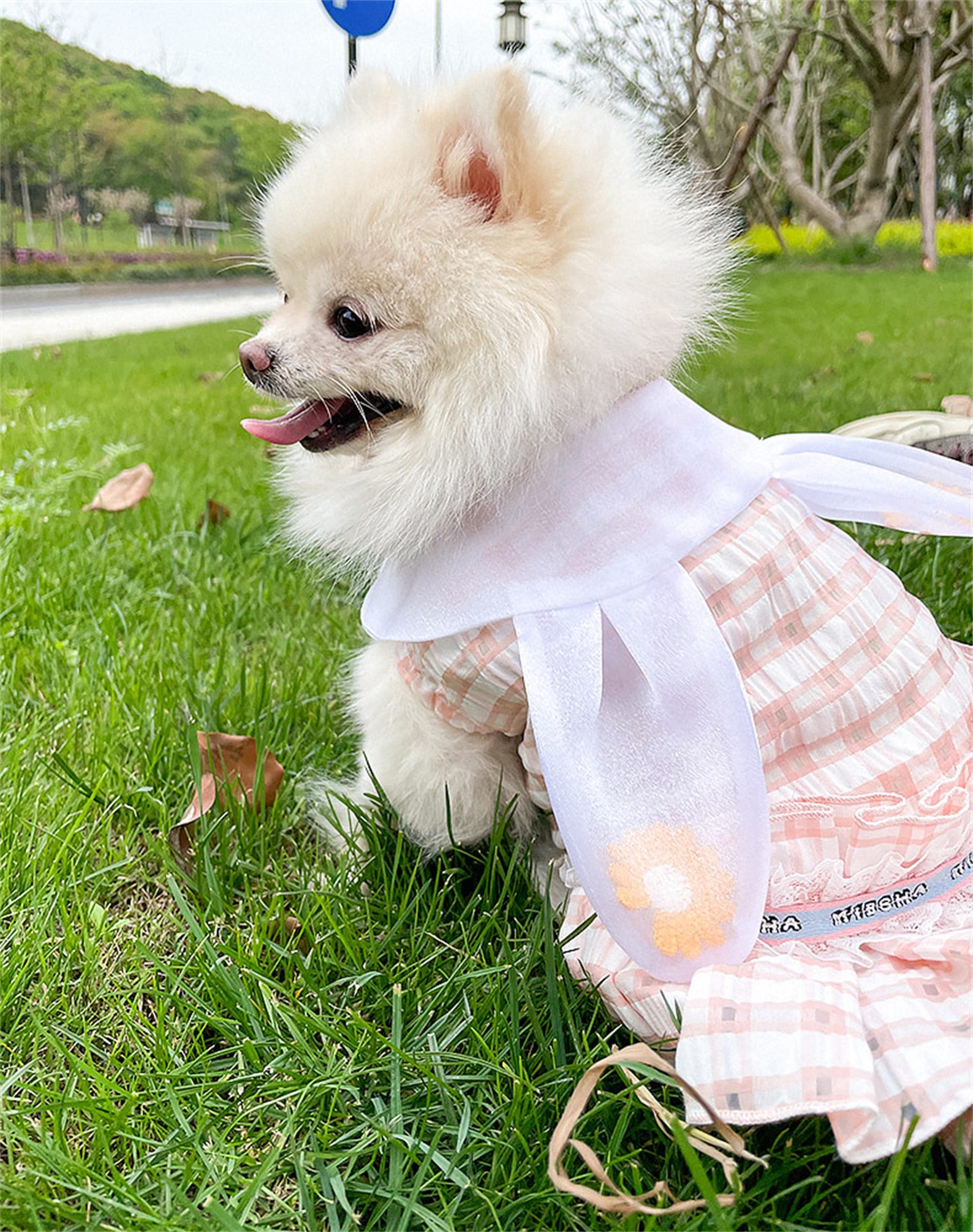 Ear Collar Cute Dog Skirt Plaid Printing Small Puppy Dress Etsy