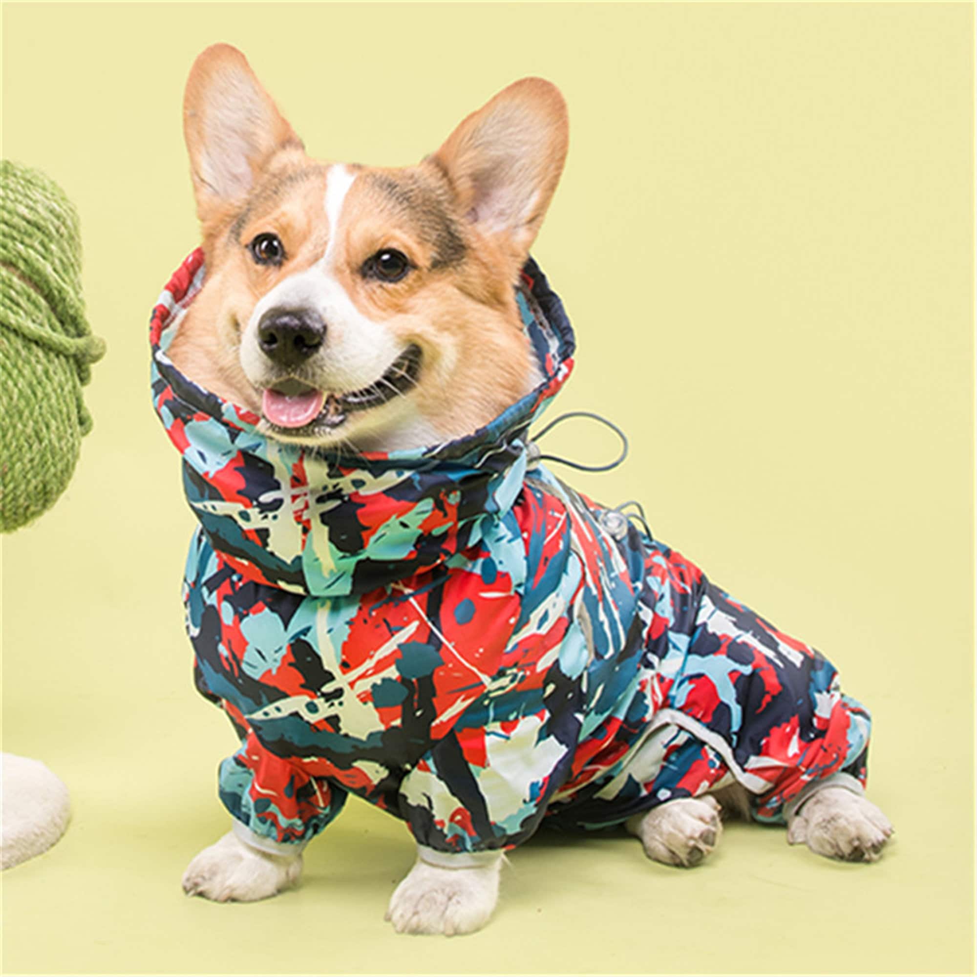 corgi jacket for humans