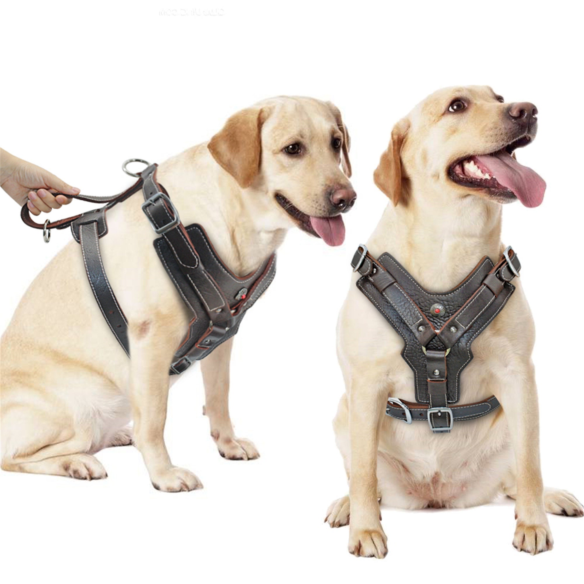 Full Body Dog Harness For Large Dogs at Charles Debusk blog