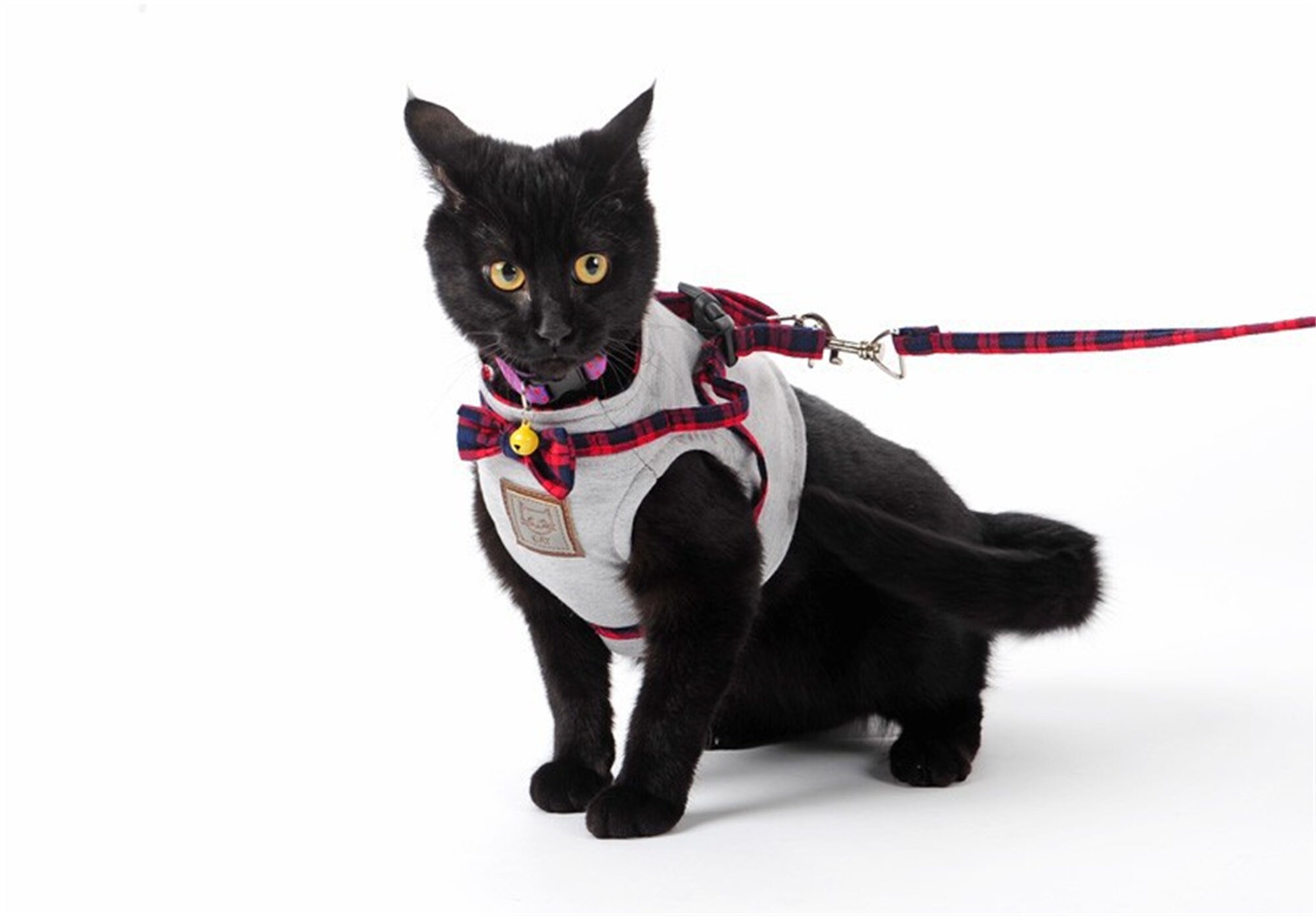 Cat Dog Harness Walking Fabric Harness JacketLeash Set 2 Etsy