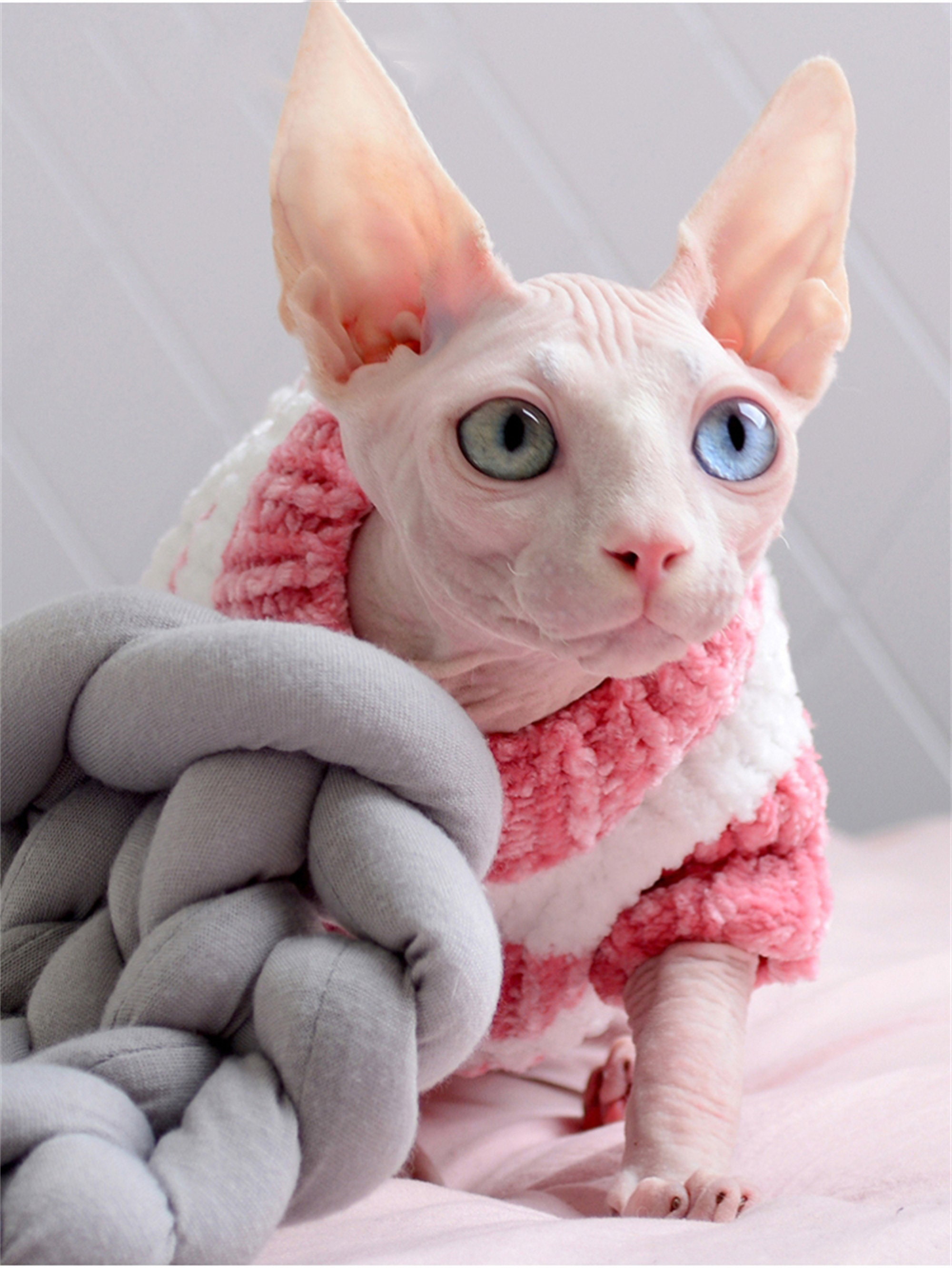 Cat Clothes Autumn and Winter Warm Sphinx Hairless Cat Costume Etsy