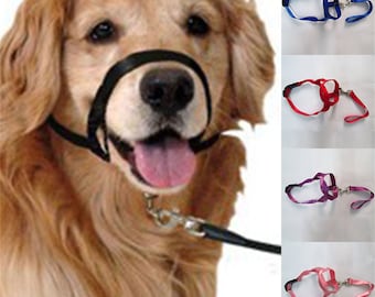 perfect pace head halter