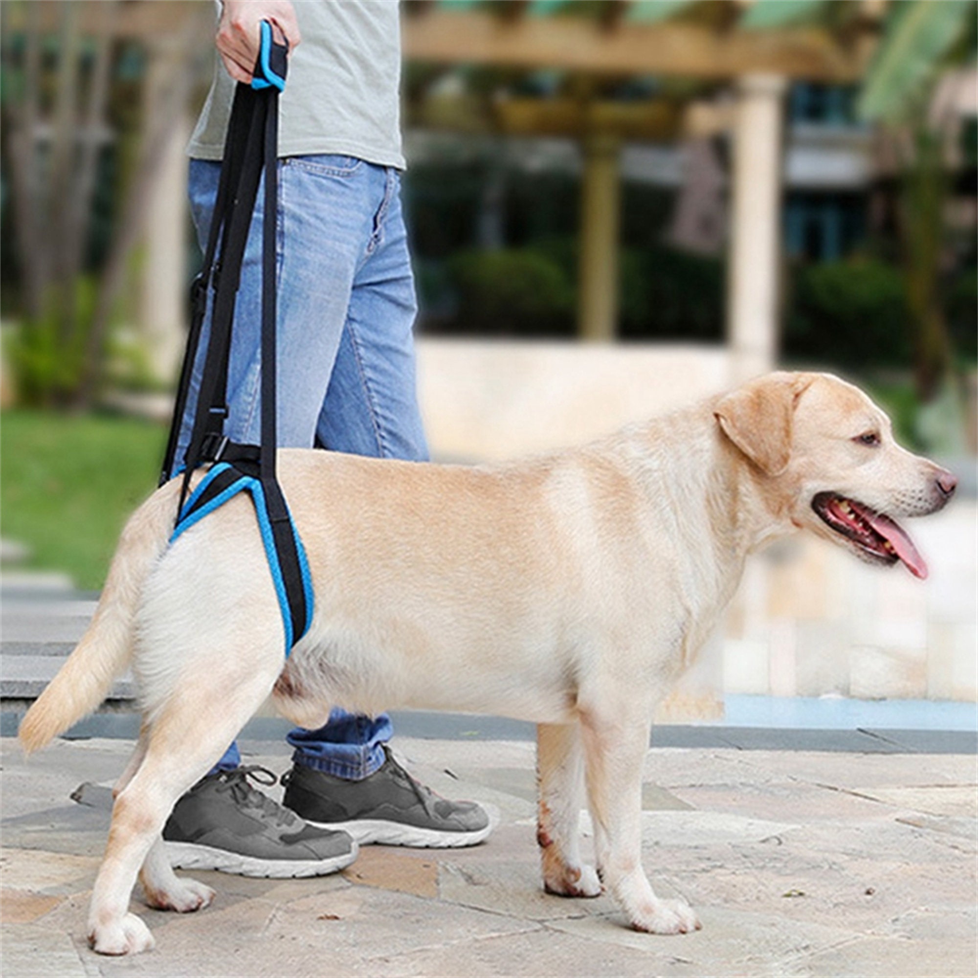 Adjustable Dog Lift Harness For Back Legs Pet Support Sling Etsy Adjustable Dog Lift Harness For Back Legs Pet Support Sling Etsy
