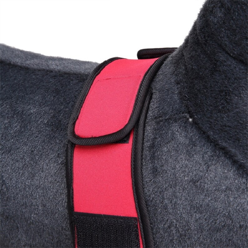 Neoprene Pet Knee Pads Support Brace Breathable Dog Elbow Etsy