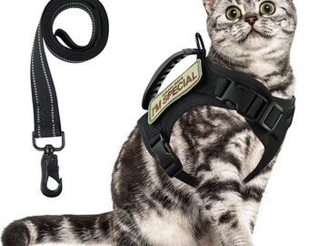 large cat harness