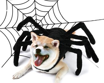 labrador spider costume