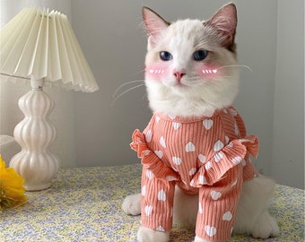 kittens in dresses