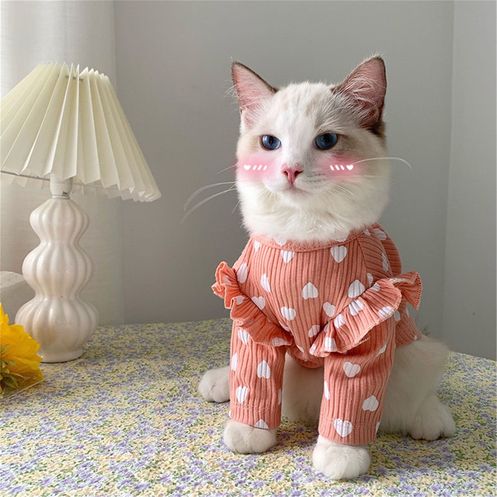 Spring Autumnal Cat Clothes Pet Clothing for Small Cats Dogs Etsy