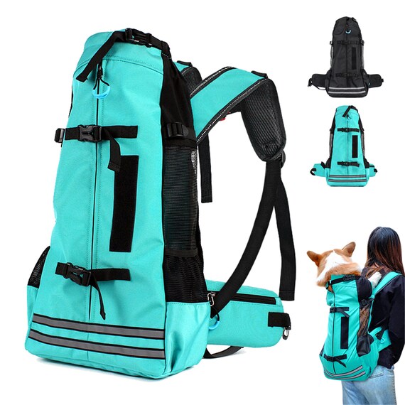corgi hiking backpack