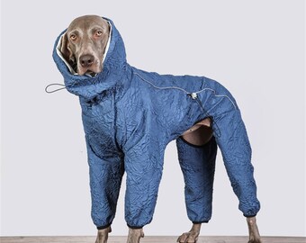 weimaraner costume