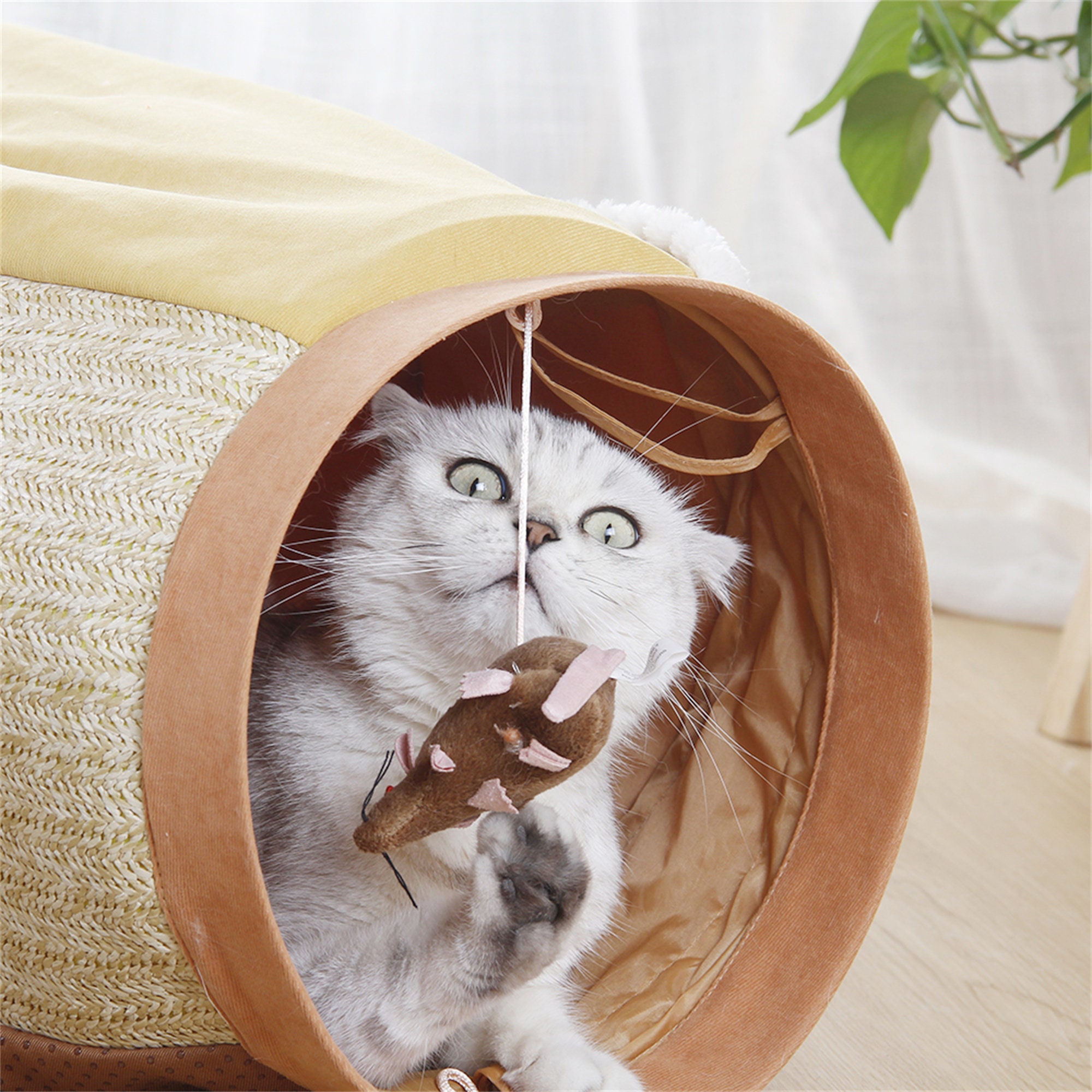 Pet Cat Tunnel Bed With Mat Collapsible 2 Way Tube with Etsy