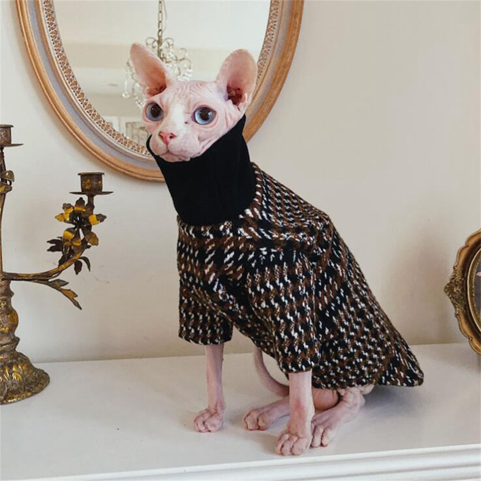 Neck Warming Hairless Cat Sweater Cat Winter Clothes Etsy