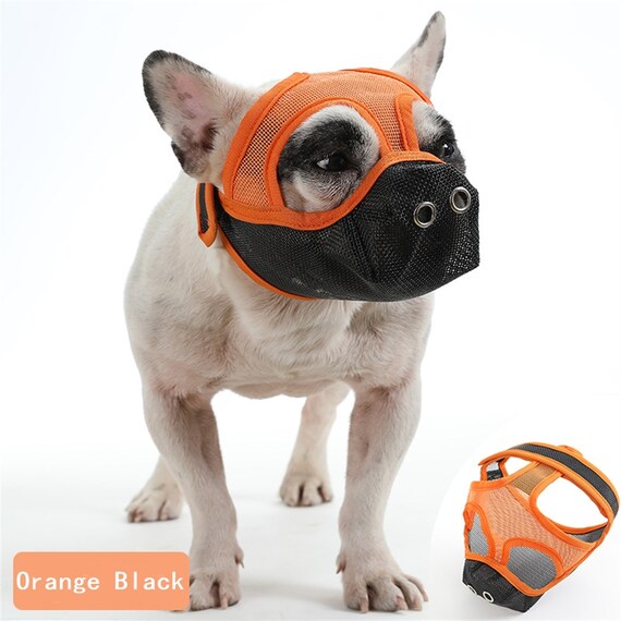 muzzle to prevent chewing