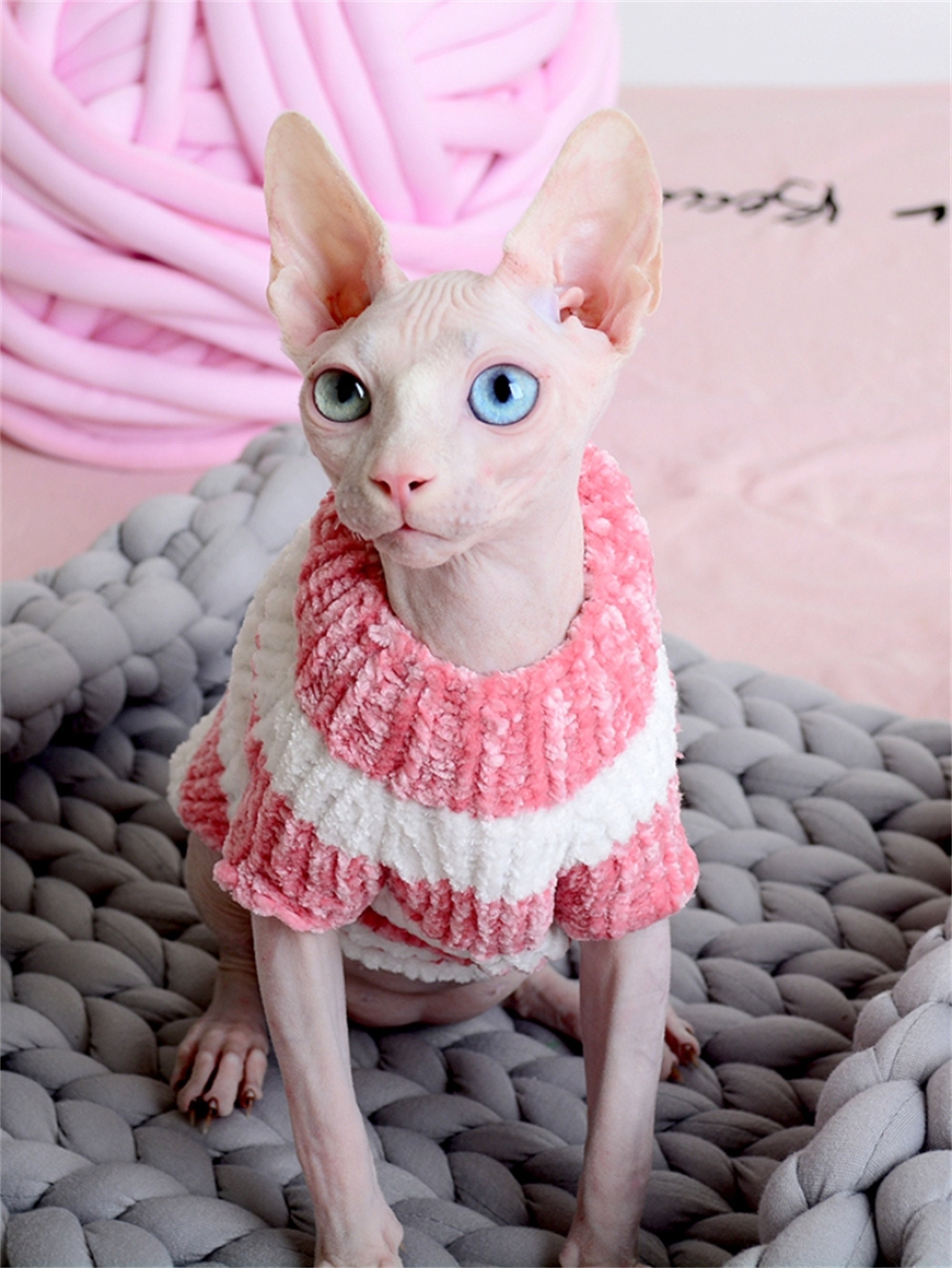 Cat Clothes Autumn and Winter Warm Sphinx Hairless Cat Costume Etsy