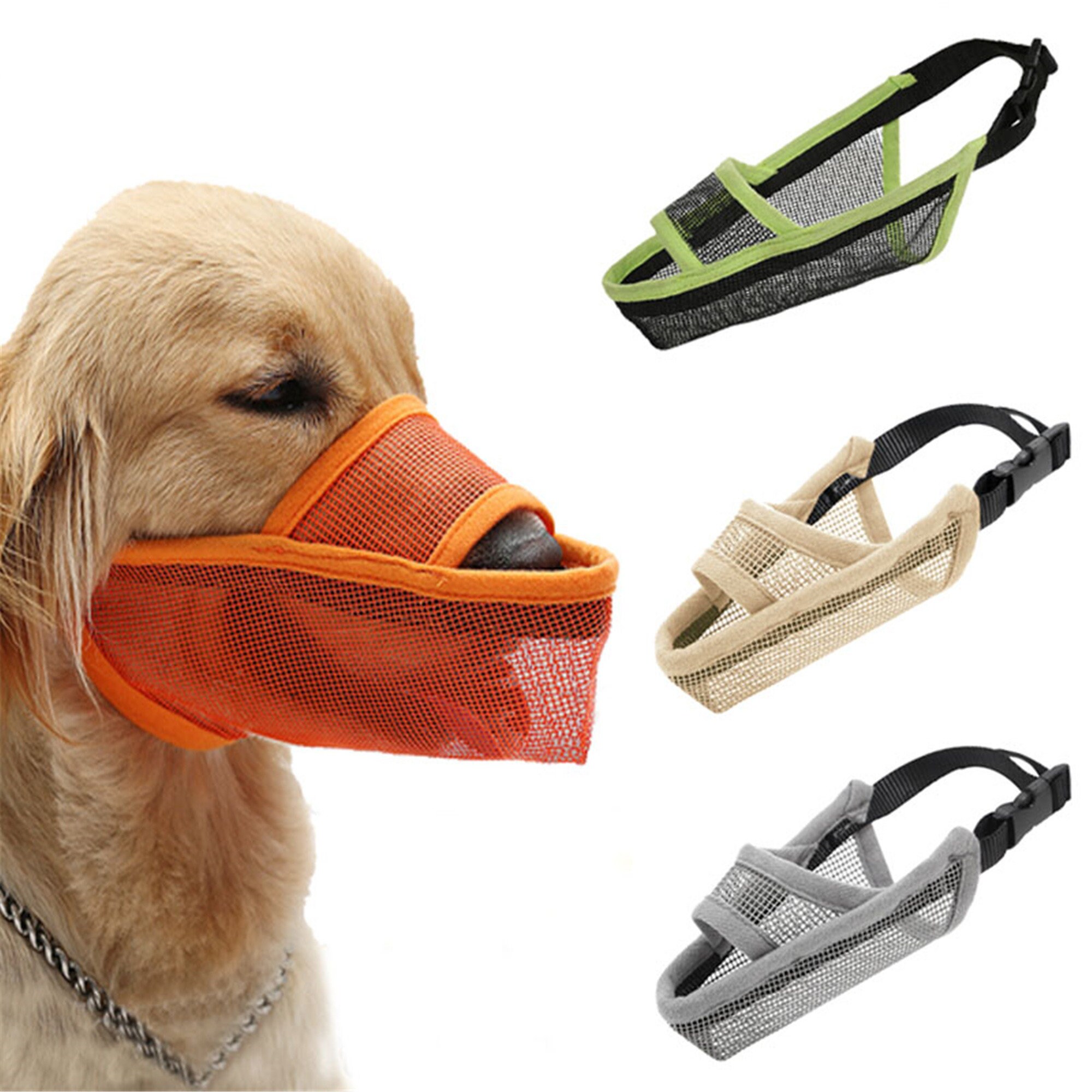 using a muzzle to stop chewing