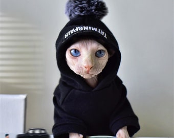 cat winter clothes
