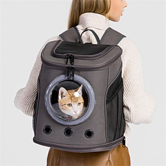 bubble backpack dog