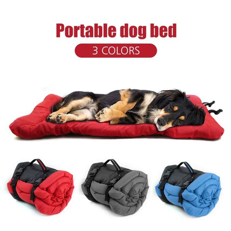 outdoor dog bedding winter