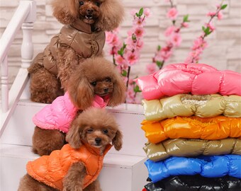 shih tzu in clothes