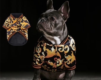 gucci for dog