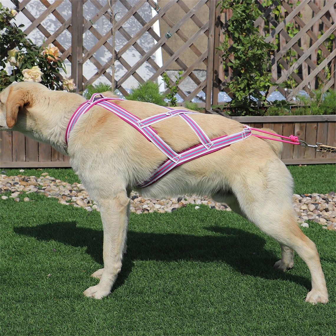 Pet Sled Harness Dog Pulling Harness Back Harness for Dog Etsy