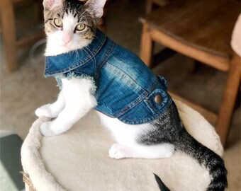 cat jean
