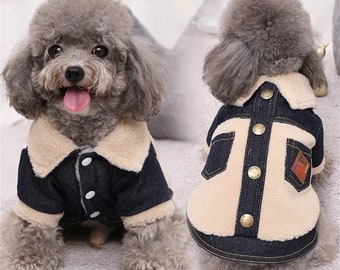 poodle clothes