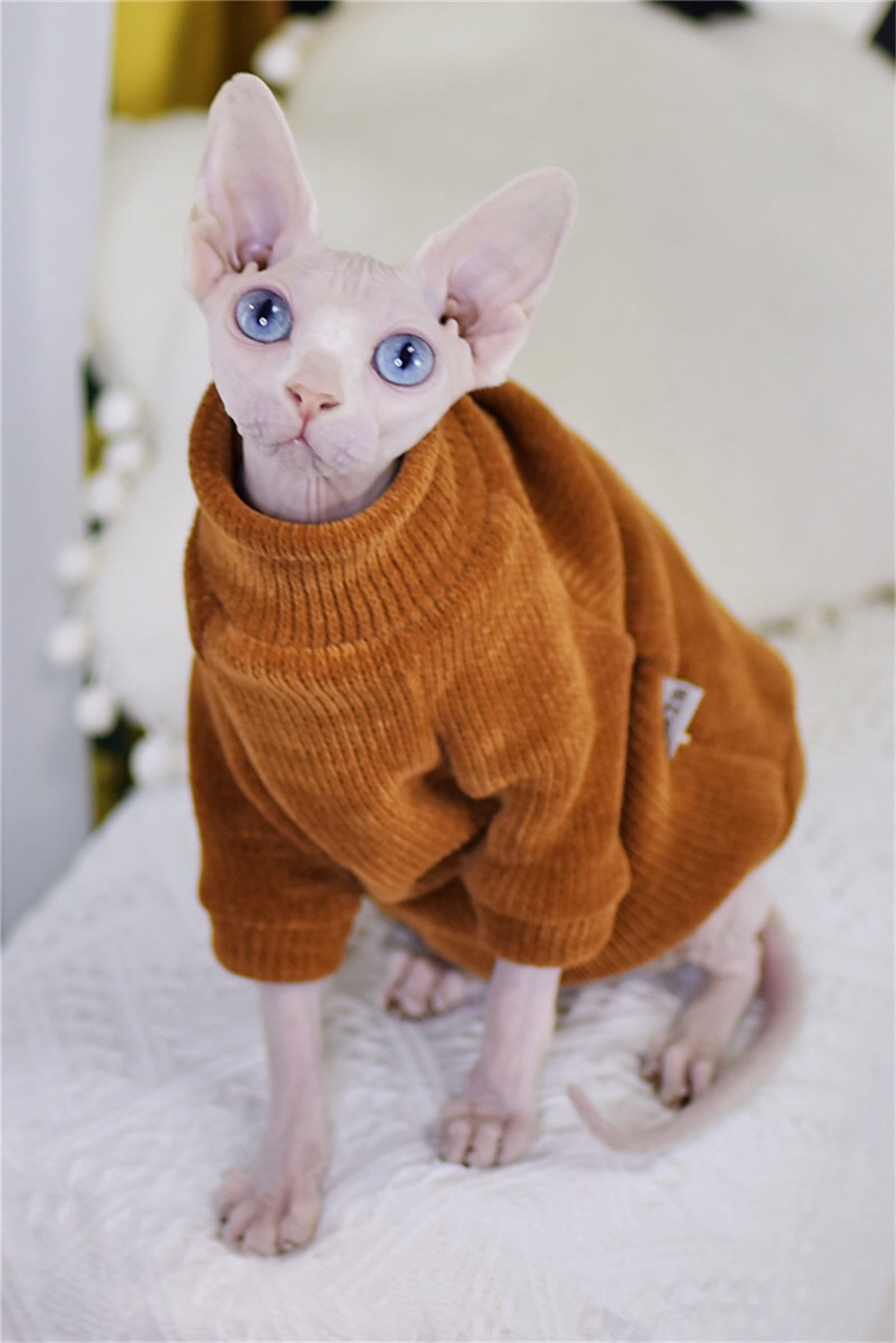 kimes ranch sweater