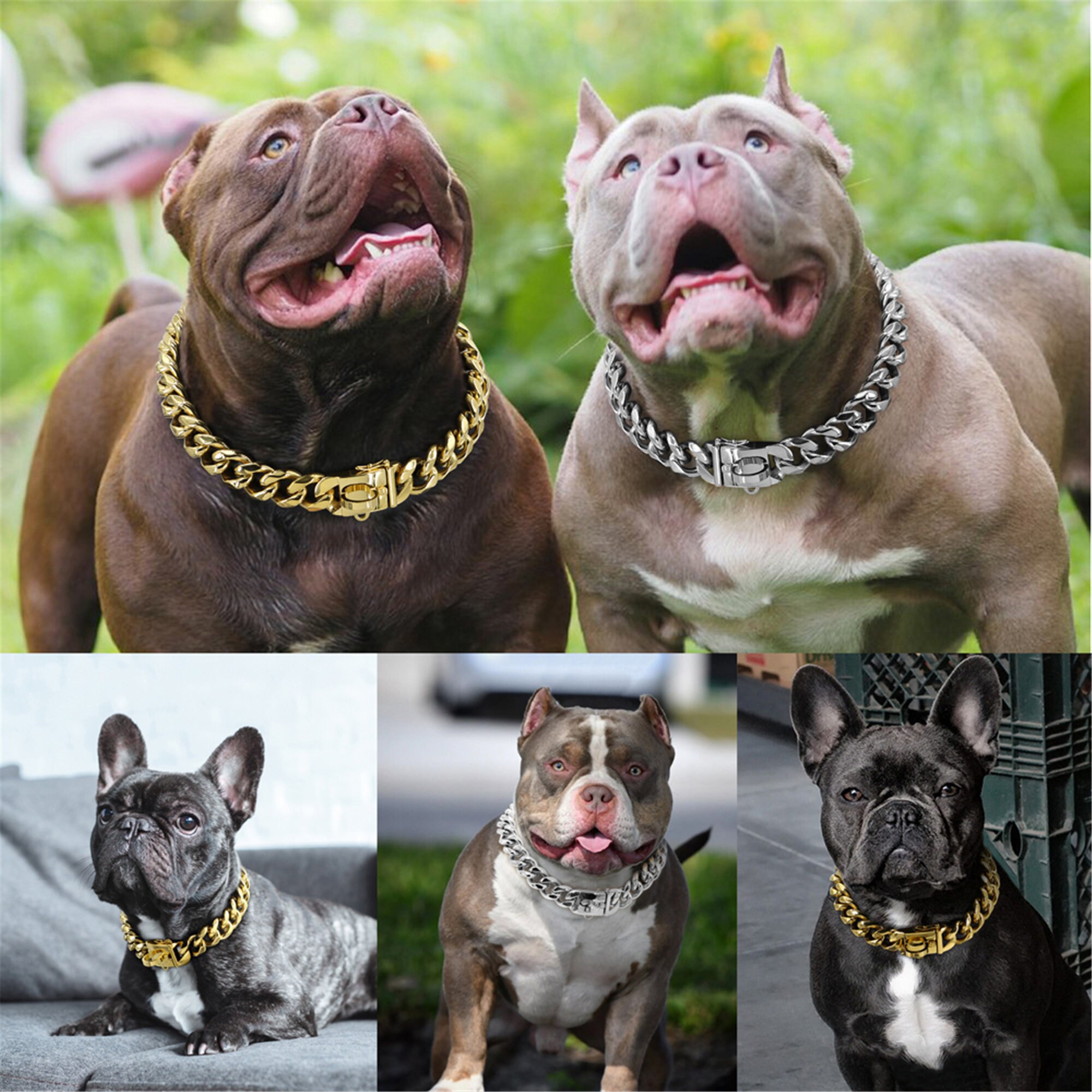 pitbull training collar