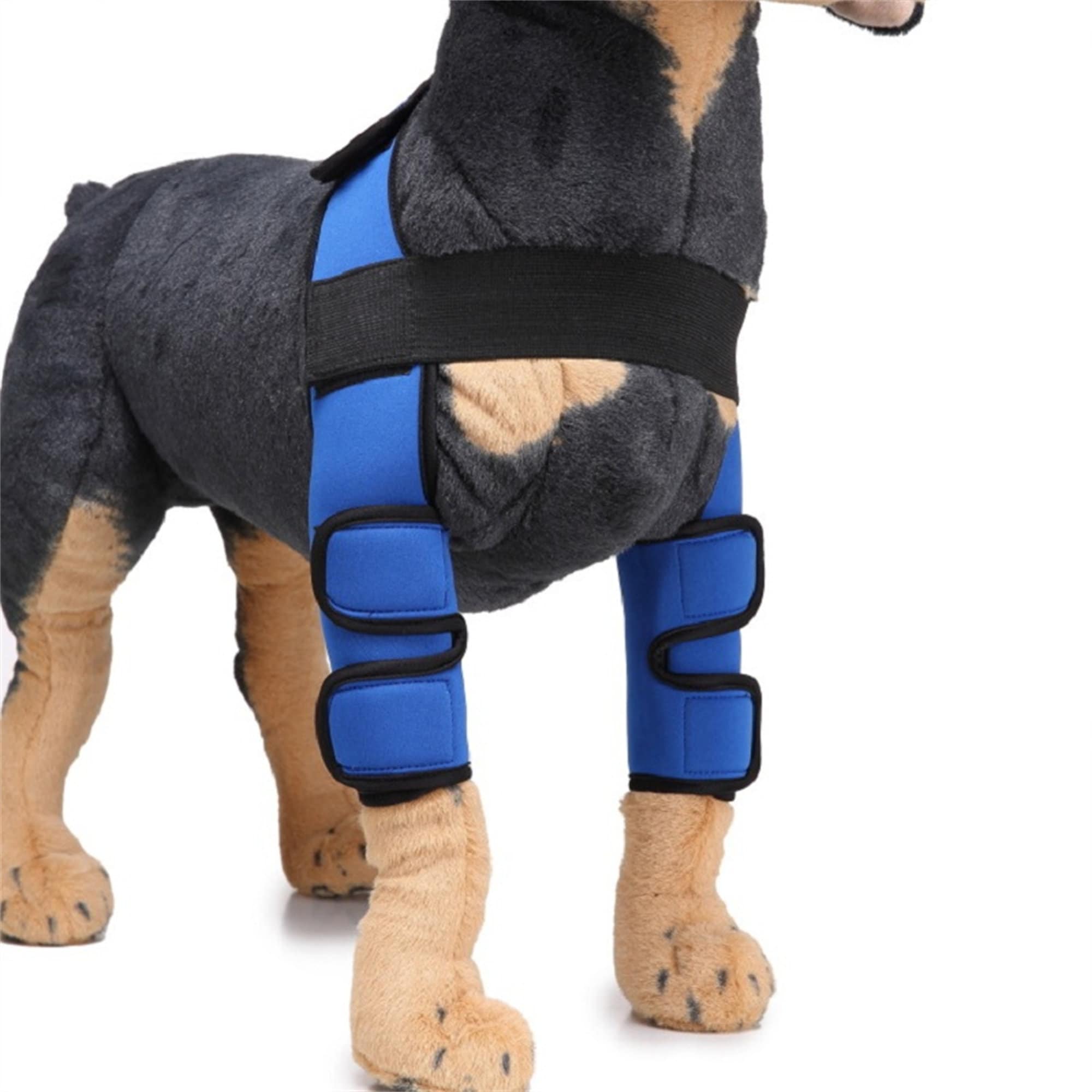 Neoprene Pet Knee Pads Support Brace Breathable Dog Elbow Etsy