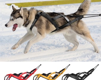 sled dog harness for bike