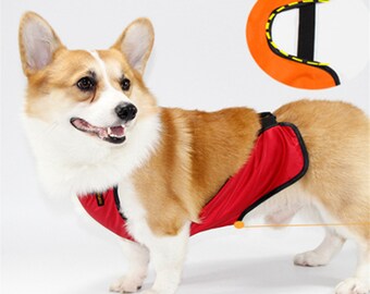 clothes made for corgis
