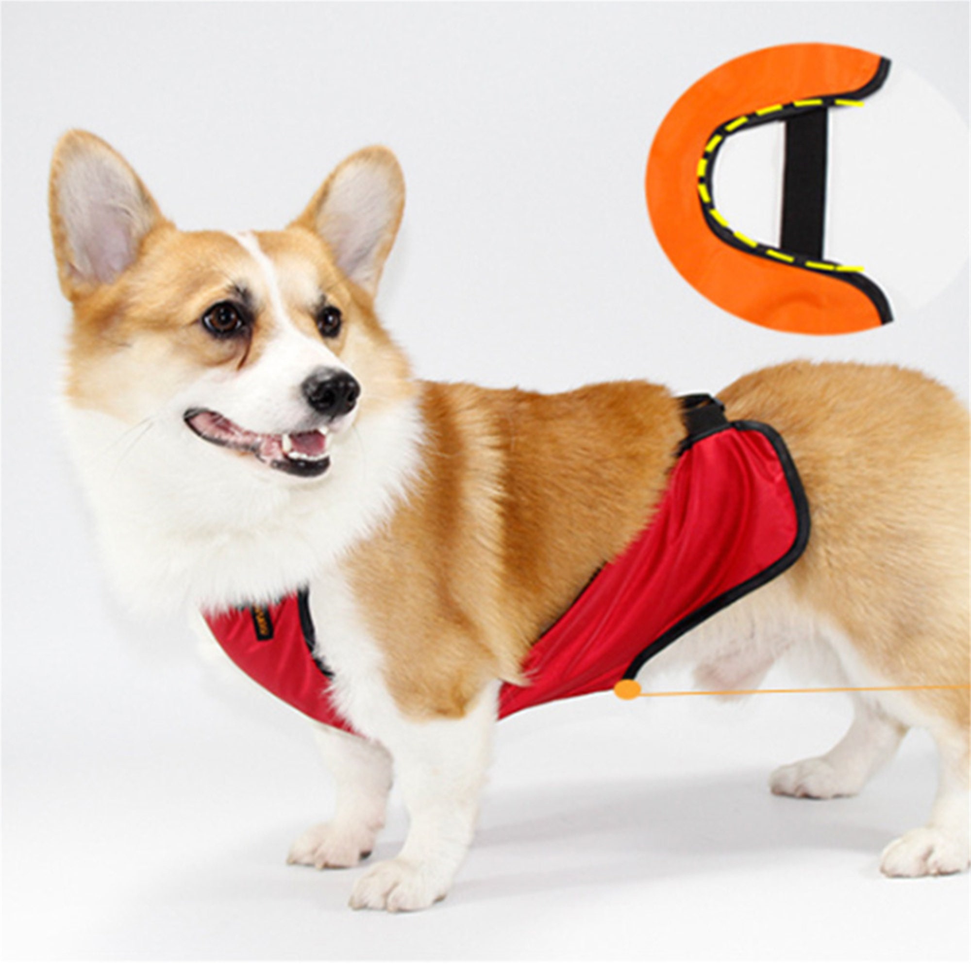 corgi clothes
