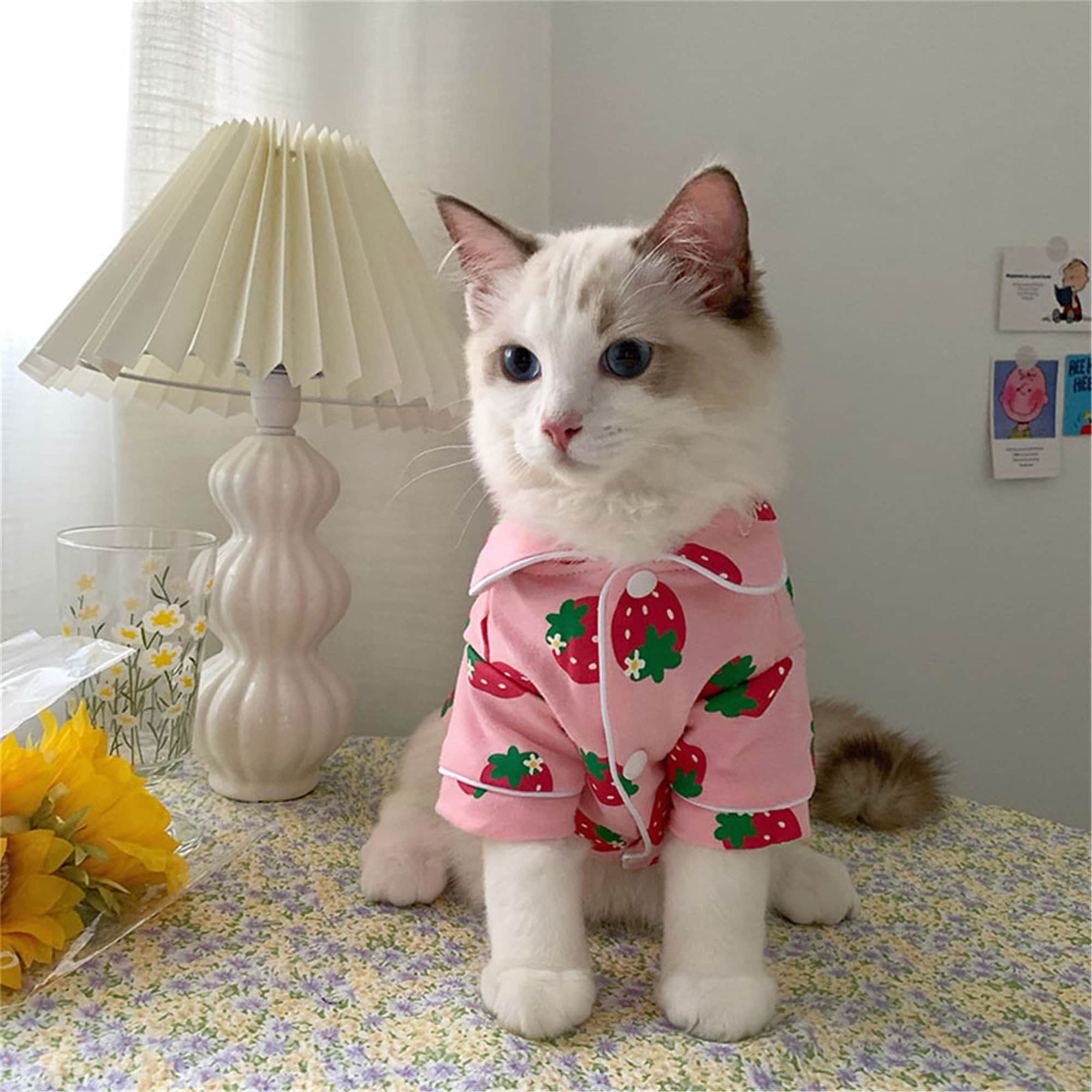cat clothes
