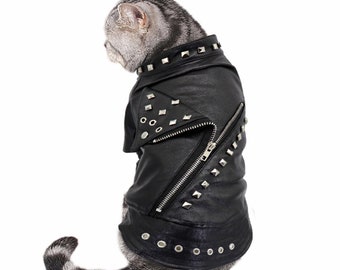 cat leather jacket