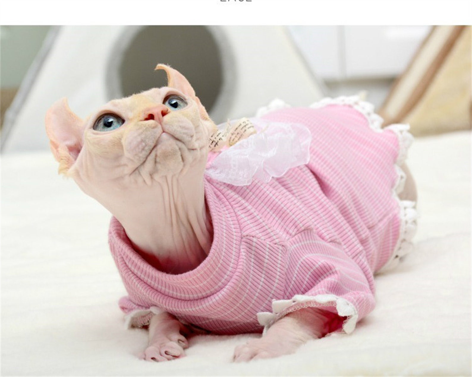 Cat Clothes Summer Shirt Thin Kitten Cute Pet Dress Sphinx Etsy